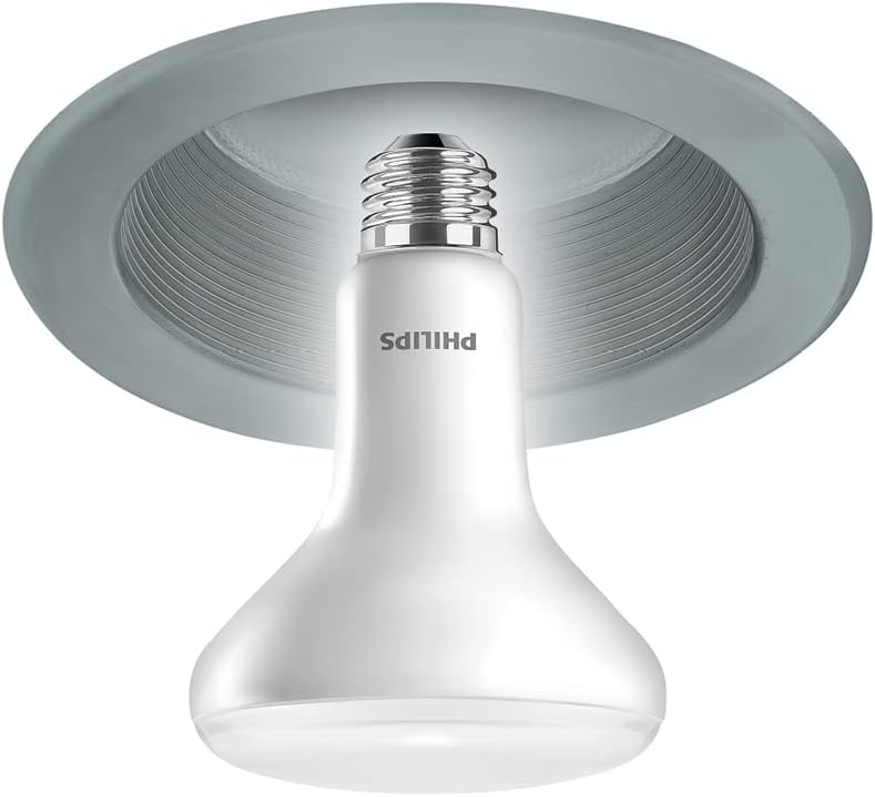 Philips 100-Watt Equivalent BR30 Dimmable LED Light Bulbs, Daylight 5000K, 1400 Lumens, 15W, E26 Base, Frosted – 4-Pack