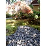 Butler Arts 0.50 cu. ft. 1 in. - 2 in. Black Mexican Beach Unpolished Pebble - Super Arbor