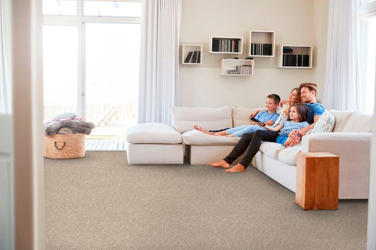 STAINMASTER Essentials Blue Diamonds II 12-ft Natural Contour Textured Carpet (Indoor)