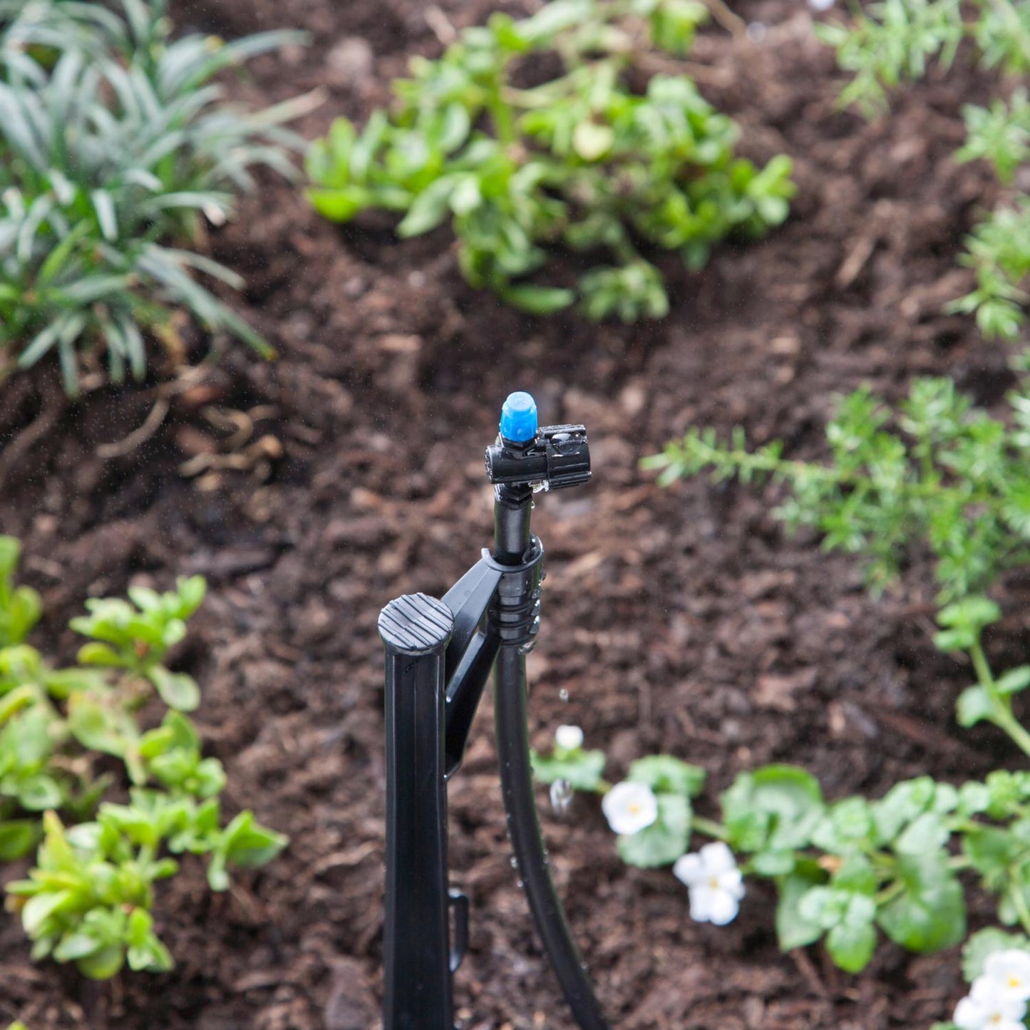 Raindrip Adjustable Flow Micro Sprinkler on 13 in. Stake for 1/4 in. Tubing, 1-Pack