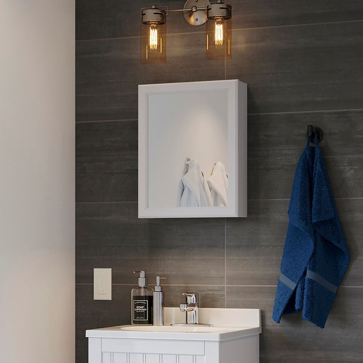 Style Selections 15.25-in x 19.25-in Rectangle Surface Mirrored Medicine Cabinet