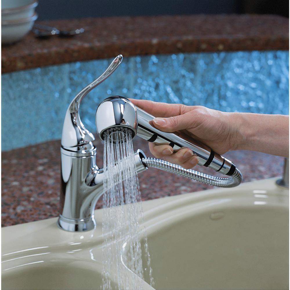Coralais Single-Handle Pull-Out Sprayer Kitchen Faucet With MasterClean Sprayface In Polished Chrome - Super Arbor