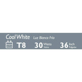 Philips 30-Watt 3 ft. Linear T8 ALTO Fluorescent Tube Light Bulb Cool White (4100K)