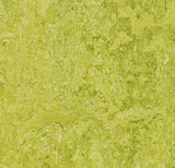 FORBO Marmoleum Click CinchLoc 12