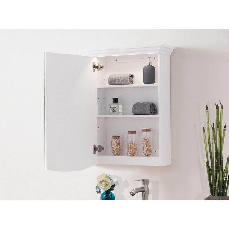 22 in. x 31 in. Surface Mount Lighted Medicine Cabinet
