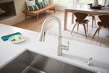 Nellis Single-Handle Pull-Down Sprayer Kitchen Faucet with Reflex and Power Clean in Spot Resist Stainless