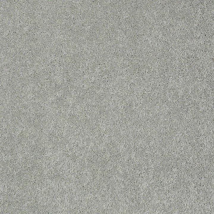 STAINMASTER PetProtect Baxter I Bobo Textured Carpet (Indoor)