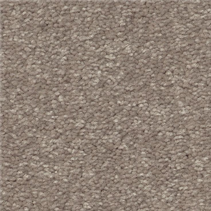 STAINMASTER Essentials Blue Diamonds I 12-ft Tree Bark Textured Carpet (Indoor)