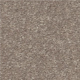 STAINMASTER Essentials Blue Diamonds III 15-ft Tree Bark Textured Carpet (Indoor)