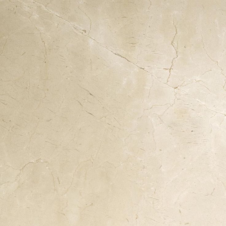 Emser MARBLE Crema Marfil Classico 24-in x 24-in Polished Natural Stone Marble Stone Look Floor and Wall Tile