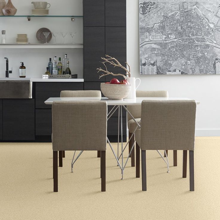 STAINMASTER PetProtect Baxter I Spaniel Textured Carpet (Indoor)