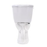 Author 2-piece 1.28 GPF Single Flush Elongated Toilet in White - Super Arbor