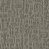 Shaw Whiz Kid 24-in x 24-in Masterful Multi-level Loop Full Spread Adhesive Carpet Tile (48-sq ft)