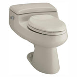 San Raphael Comfort Height 1-Piece 1.0 GPF Single Flush Elongated Toilet in Thunder Grey, Seat Included - Super Arbor
