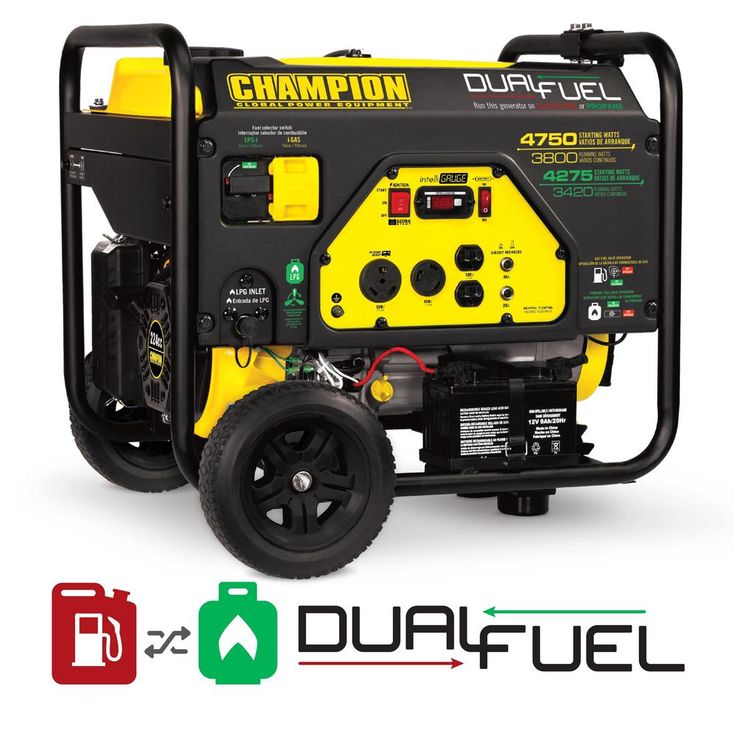 CHAMPION POWER EQUIPMENT 6250-Watt Dual-Fuel Powered Portable Generator with CO Shield Technology