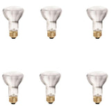 Philips 35-Watt Equivalent R20 Halogen Flood Light Bulb (6-Pack)