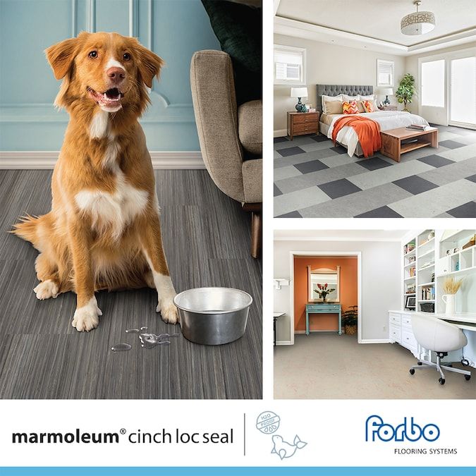 Forbo Flooring Systems Marmoleum Cinch Loc Seal Granada 10-mm T x 12-in W x 12-in L Waterproof Tile Look Laminate Flooring (6.78-sq ft / Carton)