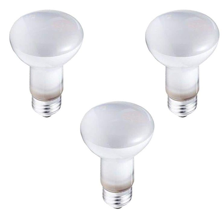 Philips Duramax 45-Watt Incandescent R20 Dimmable Spot Light Bulb (3-Pack)
