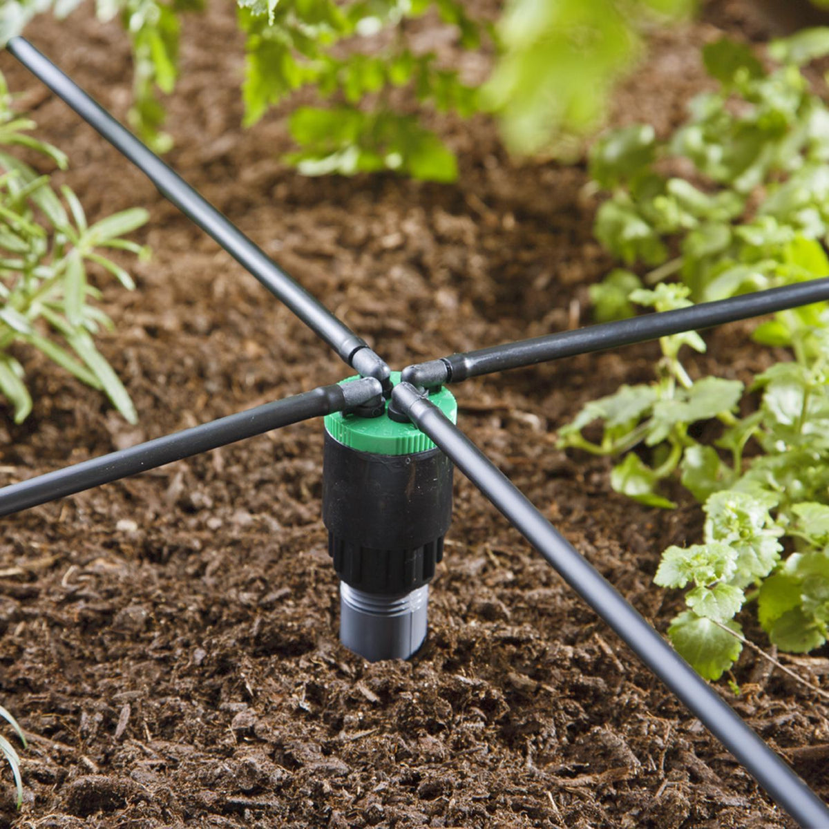 Raindrip Cuatro-Flo Spot Drip Irrigation Bubbler, 20 GPH, 4-Outlet