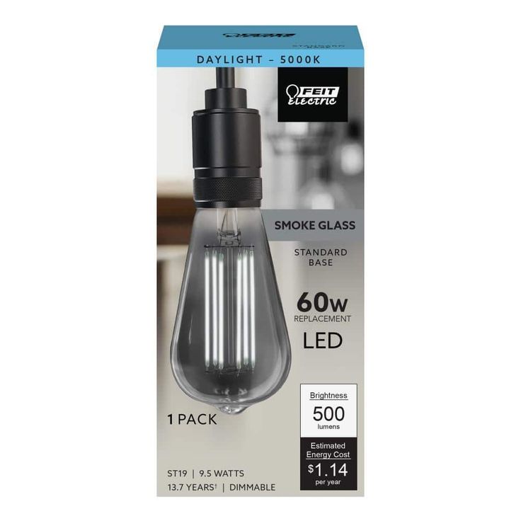 Feit Electric 60-Watt Equivalent ST19 Dimmable LED Smoke Glass Vintage Edison Light Bulb With Straight Filament Daylight (4-Pack)