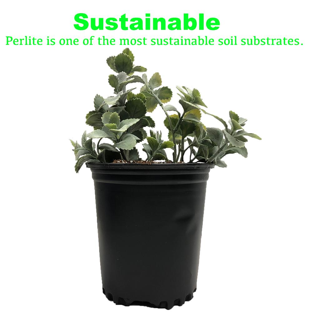 Viagrow 4 cu. ft. Perlite - Super Arbor