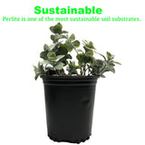 Viagrow 4 cu. ft. of Perlite (2-Pack)