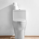 Dual Flush 1-piece 1.28/1.6 GPF Elongated One Piece Toilet with Soft Closing Seat - Super Arbor