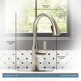 Rubicon Single-Handle Pull-Down Sprayer Kitchen Faucet in Vibrant Stainless - Super Arbor