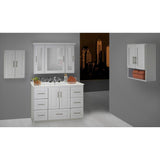 Ultraline 48 in. W x 21 in. D x 34.5 in. H Vanity Cabinet Only in Natural Alder - Super Arbor