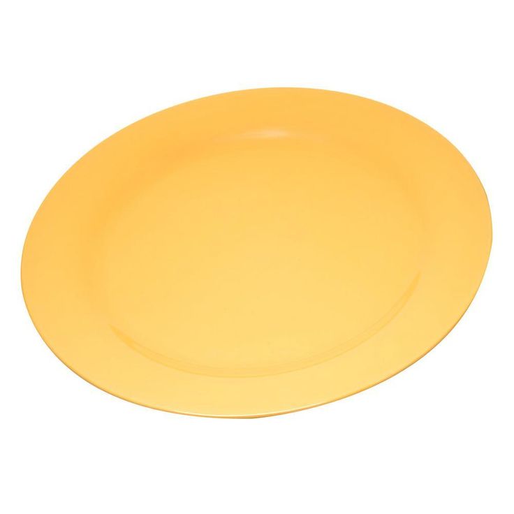 Durus 9 in. White Melamine Narrow Rim Dinner Plate (24-Pack)