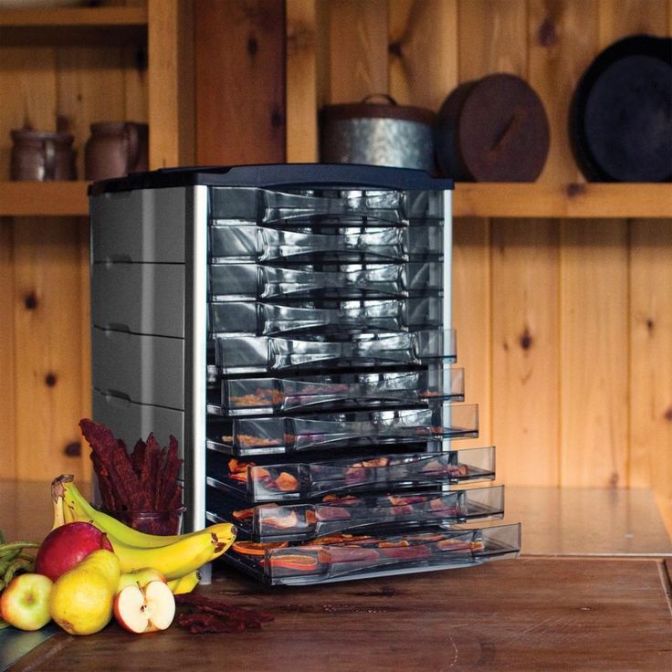 10-Tray Black and Silver Food Dehydrator with Temperature Display