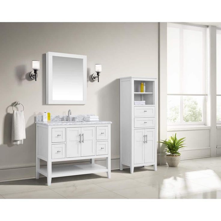 Home Decorators Collection Sturgess 24 in. W x 32 in. H Rectangular Medicine Cabinet with Mirror