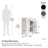 Ameriwood Home Camberly 23.46-in W x 39.2-in H Particleboard Graphite Grey Freestanding Utility Storage Cabinet