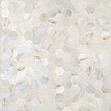 Satori Bianco Perla 12-in x 12-in Polished Natural Stone Look Hexagon Mosaic Floor and Wall Tile (0.96-sq. ft/ Piece)