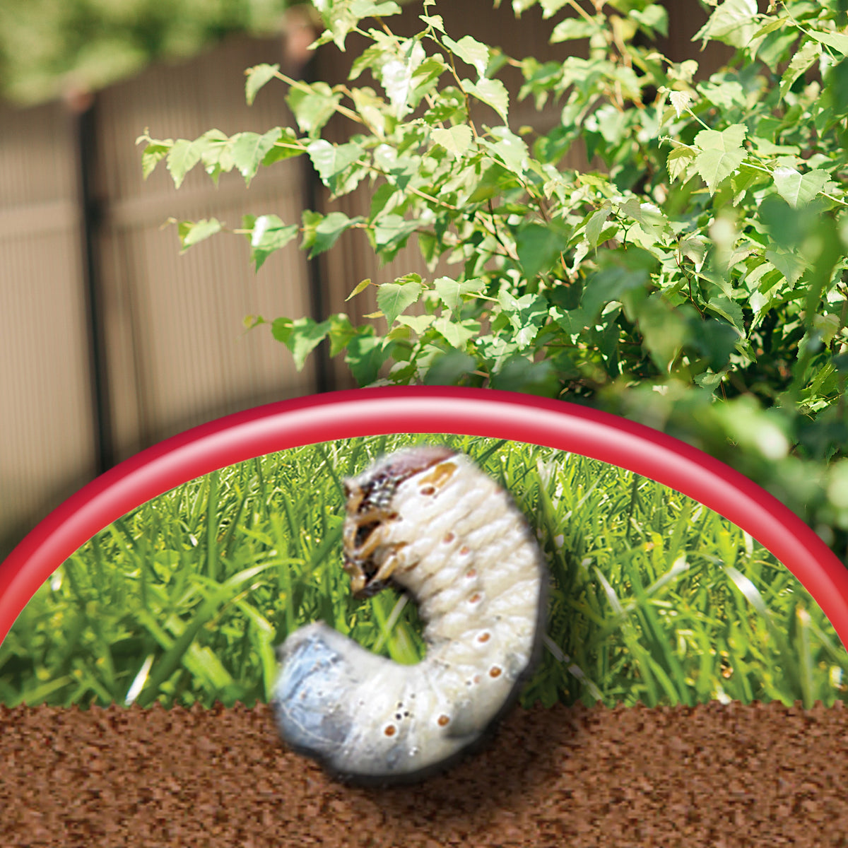 Bonide Annual Grub Beater Granules Insect Killer, 6 lb Bag