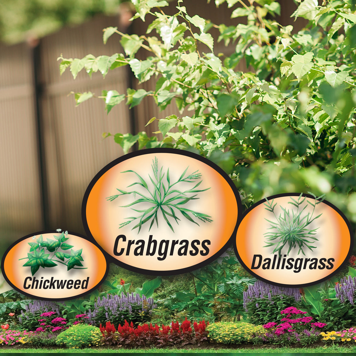 Bonide DuraTurf Crabgrass & Weed Preventer Lawn Fertilizer for Annual Ryegrass, Treats up to 5,000 sq. ft.