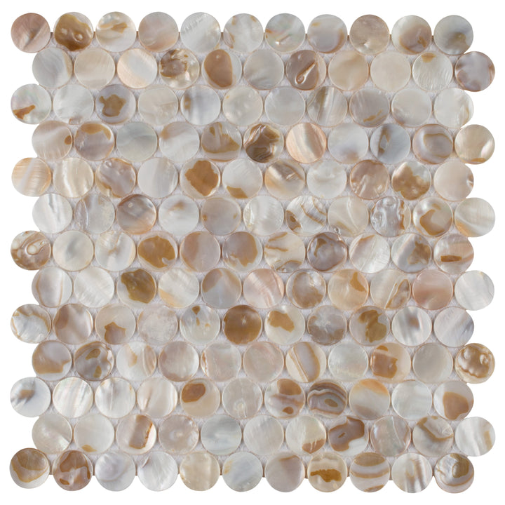Affinity Tile Conchella Penny Natural 11-in x 12-in Glossy Natural shell Round Mosaic Wall Tile product image