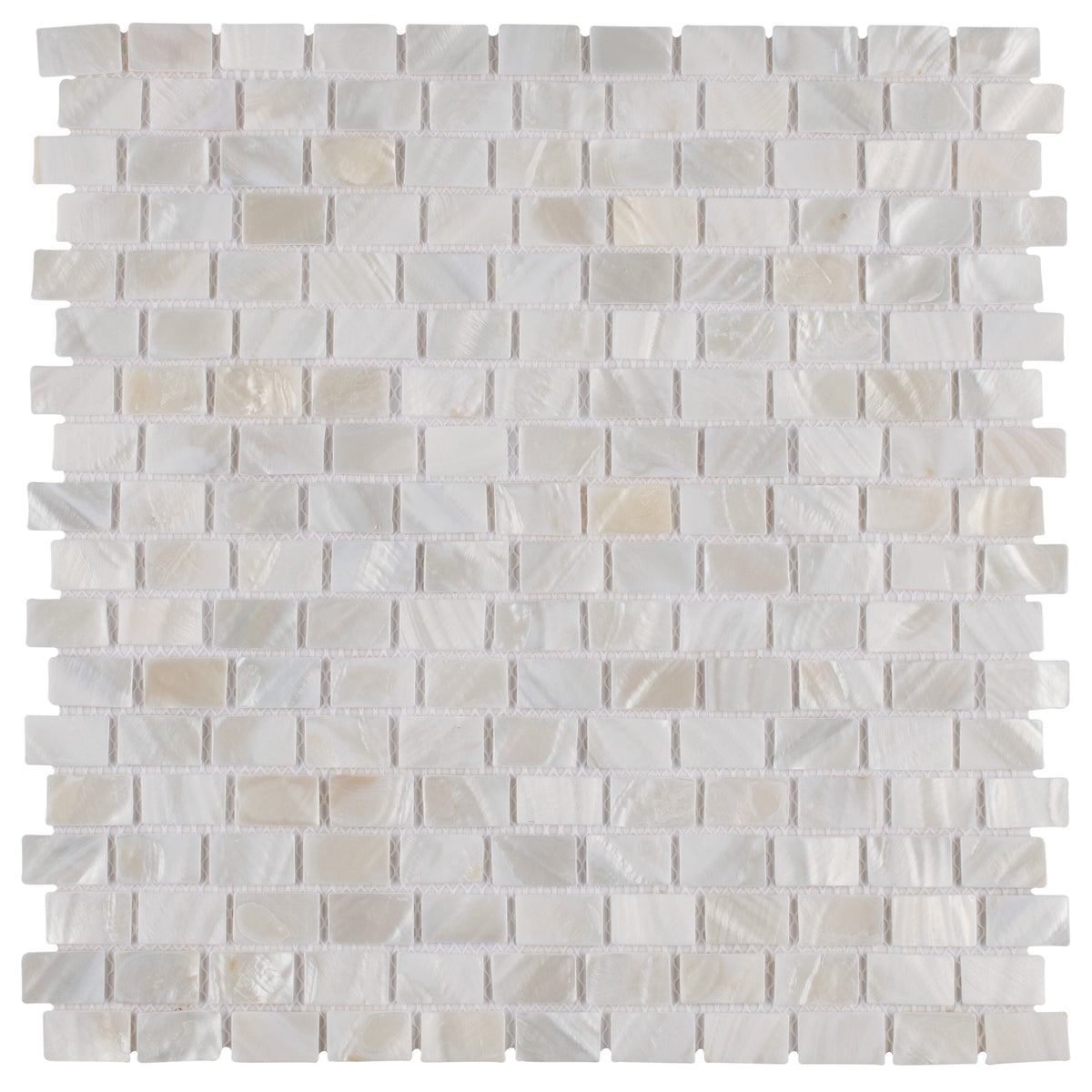 Affinity Tile Conchella Subway White 12-in x 12-in Glossy Natural shell Mosaic Wall Tile product image