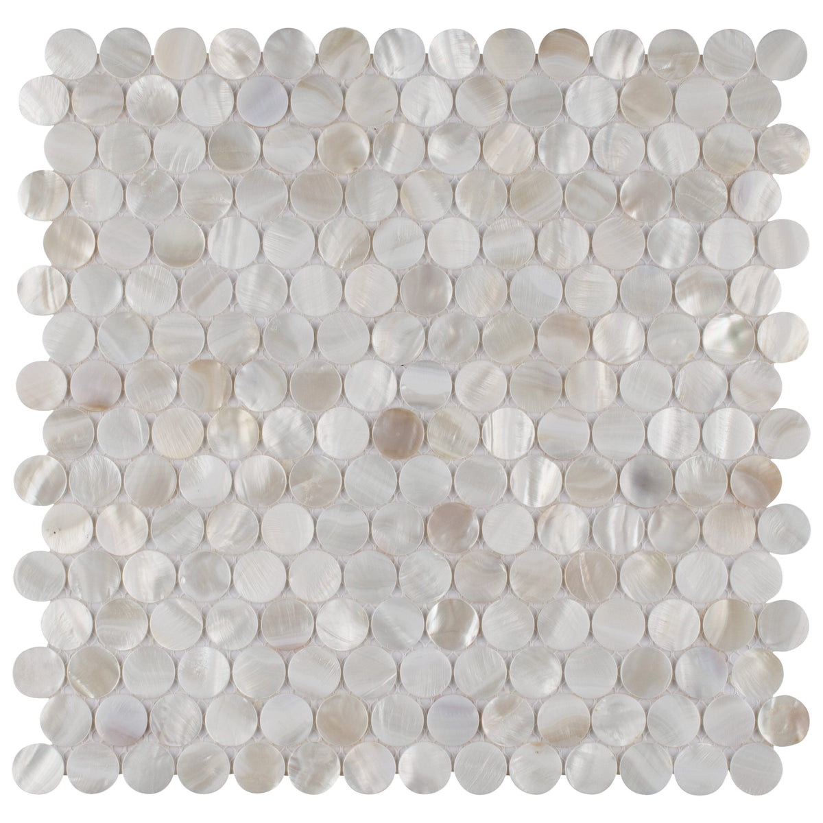 Affinity Tile Conchella Mini Penny White 12-in x 12-in Glossy Natural shell Round Mosaic Wall Tile product image