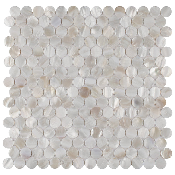 Affinity Tile Conchella Mini Penny White 12-in x 12-in Glossy Natural shell Round Mosaic Wall Tile product image