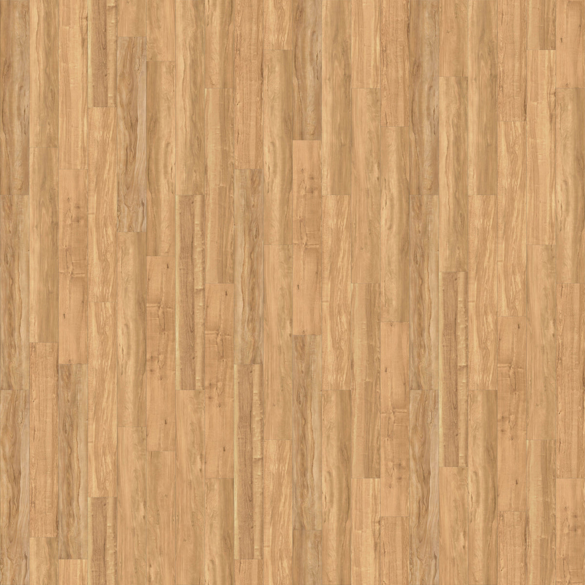 CALI (Sample) Vinyl Pro Classic Blonde Ale 20-mil x 7.13-in Waterproof Luxury Vinyl Plank