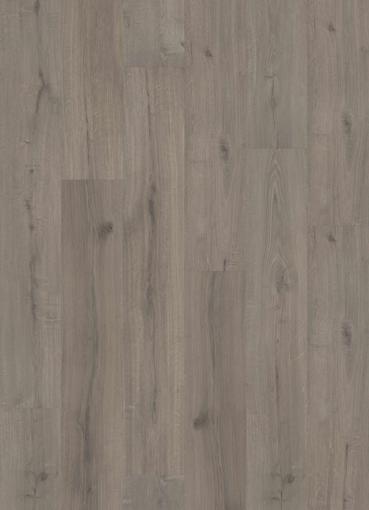 STAINMASTER PetProtect Trelawney Grey Oak 7-mm x 7-in W x 48-in L Waterproof Interlocking Luxury Vinyl Plank Flooring (19.22-sq ft/case)