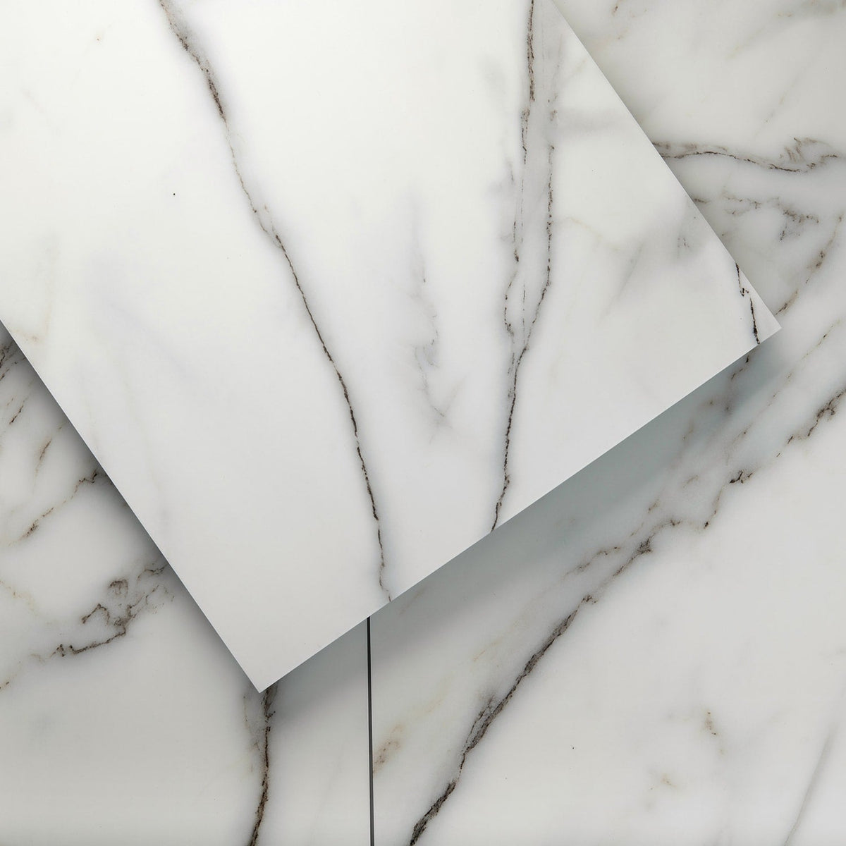 Lucida USA (Sample) Gluecore Whitestone Off-white Stone Look 22-mil Glue Down Luxury Vinyl Plank