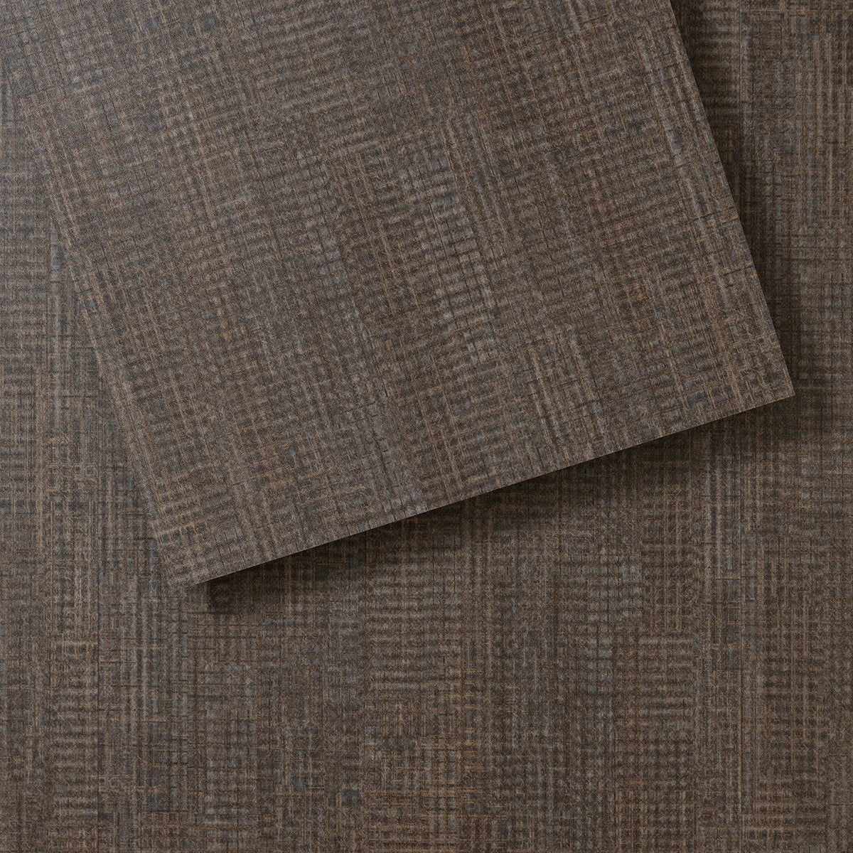 Lucida USA (Sample) Gluecore Ash Gray Wood Look 22-mil Glue Down Luxury Vinyl Plank