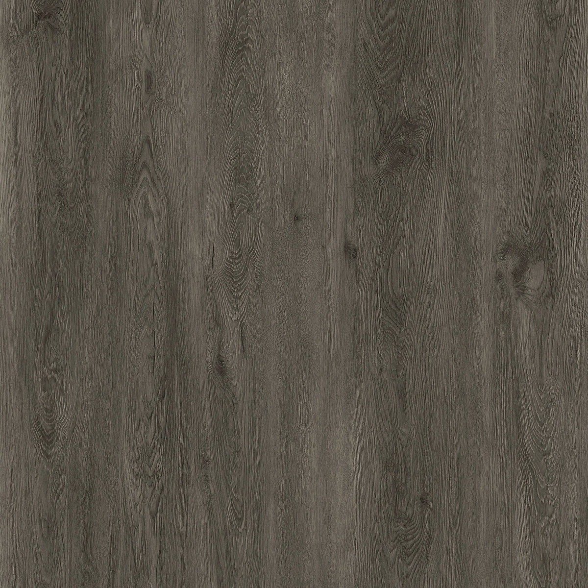 Lucida USA GlueCore Ash Grey 7-3/32-in W x 3-mm T Waterproof Luxury Vinyl Plank Flooring (39-sq ft)