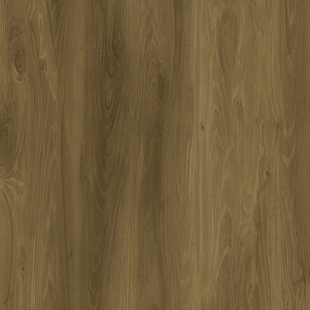 Lucida USA (Sample) Gluecore Greywood Gray Wood Look 22-mil Glue Down Luxury Vinyl Plank