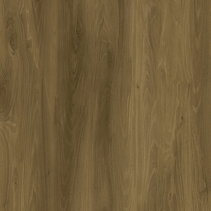 Lucida USA (Sample) Gluecore Greywood Gray Wood Look 22-mil Glue Down Luxury Vinyl Plank