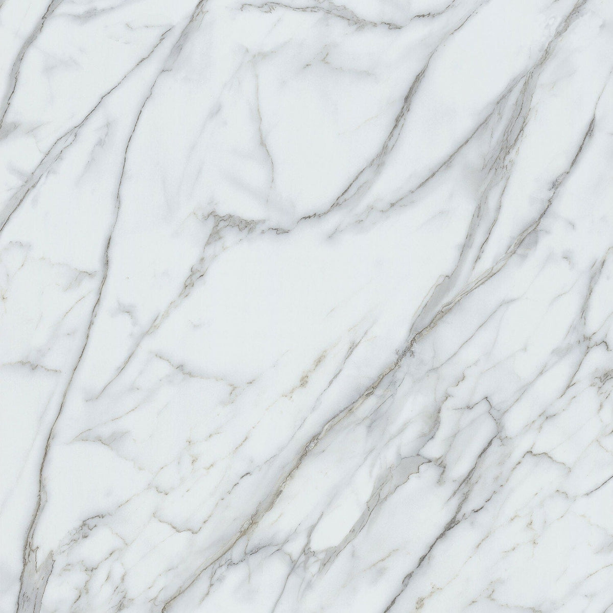 Lucida USA (Sample) Gluecore Whitestone Off-white Stone Look 22-mil Glue Down Luxury Vinyl Plank