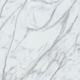 Lucida USA (Sample) Gluecore Whitestone Off-white Stone Look 22-mil Glue Down Luxury Vinyl Plank