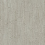 Lucida USA Gluecore Satinstone Gray 22-mil x 12-in W x 24-in L Waterproof Glue Down Luxury Vinyl Plank Flooring (36-sq ft/ Carton)